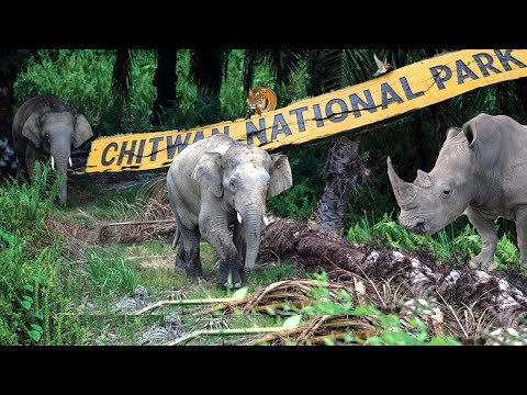 Nepal Chitwan National Park Full Tour Information | Sagar Chhetri