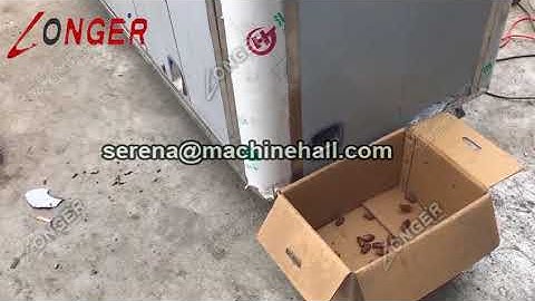 Palm Date Seed Pitting Machine|Core Removing Equipment Video