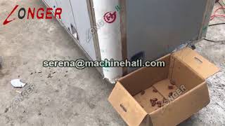 Palm Date Seed Pitting Machine|Core Removing Equipment Video