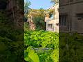 বারাসাত যশোর রোড শেঠ পুকুরের কাছে ১.৮কাটা জমি। #realestate #land #house #flat #landregistry