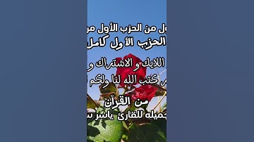 تلاوه جميله للقارئ ياسر سلامه #تلاوات #قرآن #راحة_نفسية#اكسبلور#تلاوة_خاشعة#سورة#السعودية#قران_كريم