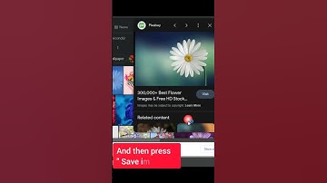 How to download any photo from Google to in your pc / laptop.