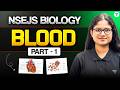 Body Fluids &amp; Circulation | Blood Part 1 | NSEJS Biology 2026