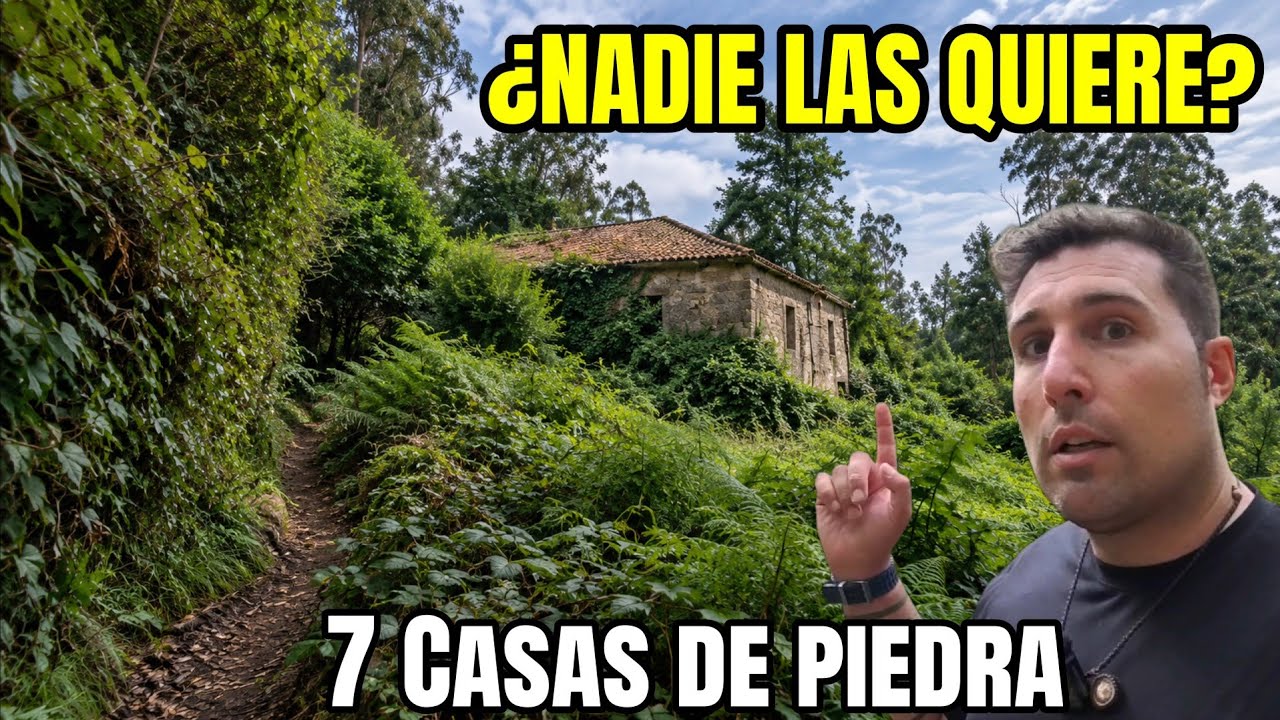 Encontré estas casas ocultas en un bosque de CUENTO!