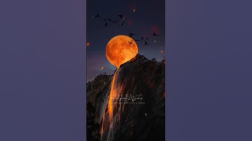 وَعَسَىٰ أَن تَكْرَهُوا شَيْئًا- سورة البقرة-مشاري العفاسي
