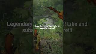Legendary White Tiger location!! #gaming #guide #playstation #ps5 #crimsondesertgame #legendary