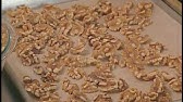 Easy Ways to Toast Nuts | DishDish.us Recipe App & Recipe Box - YouTube