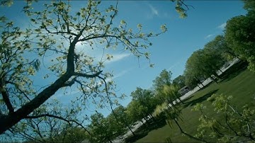 FPV Freestyle and lucky tree miss(s) - Kiss/Fettec - ImpulseRC Apex 5" - T-Motor F40 IV - Ethix P3