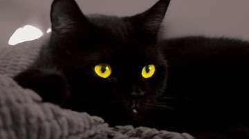 Teaser: A Panasonic GH5 Film