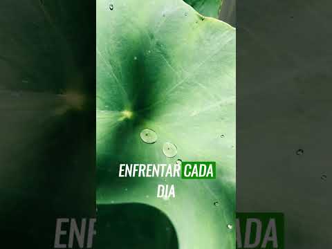 Você tem o