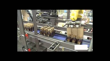 Brenton 3540 Case Packer Mach 2