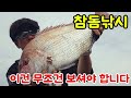 참돔낚시..이건 무조건 보셔야 합니다~