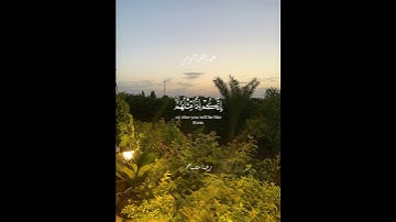 #قرآن #أرح_سمعك_وقلبك #تدبر #القارئ #عبدالله_الموسى #اكسبلور #foryou 🍃♥️