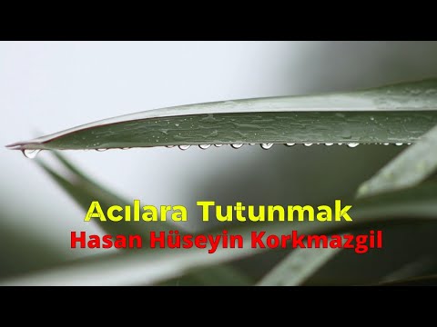 Hasan Hüseyin Korkmazgil-Acılara tutunmak