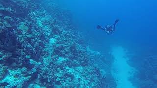 4K Diving Scuba Sharm El Sheikh (Part 11) - "Yalla" Team 2019 (Video by Sergei S.) HD 60fps 5.9.2019