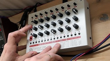 MFB Tanzbär Lite session