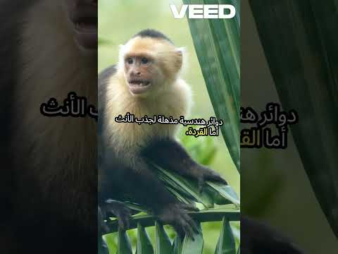 حيوانات بعادات غريبة لن تصدق أنها حقيقية