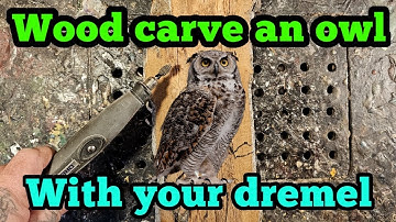 Dremel Wood Carving a beautiful little owl on cotton wood bark.