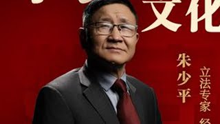 商业文化怎样推动经济发展？ #财经 #数字经济 #朱少平