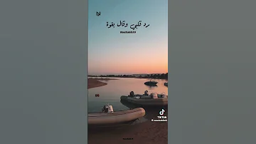 كلة قالي اشمعني هو حمادة القرشي 