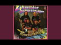 Miniature de la vidéo de la chanson Glückwunsch An Die Braut