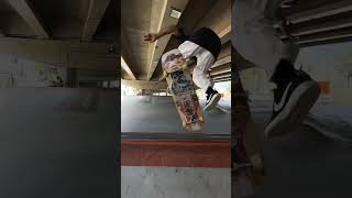 Longboards at the Skate Park - Arbiter DK #shorts