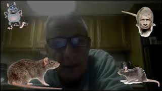 Once a rat, always a rat.  Another Dexter Morgan masterpiece