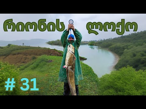 8 დღე რიონზე სათევზაოდ ლოქოზე