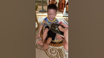 Pipi sợ chú rùa cắn khóc chạy chốn #shorts