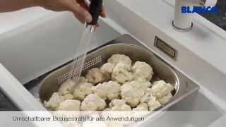 Blanco Dampfgar Plus