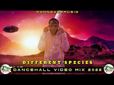 Dancehall Motivation Mix 2022: DIFFERENT SPECIES Teejay, Silk Boss, Masicka & More