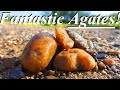 FANTASTIC TREASURES on a Windy Day! Rockhounding the Yellowstone River for Agates, Fossils, & More!