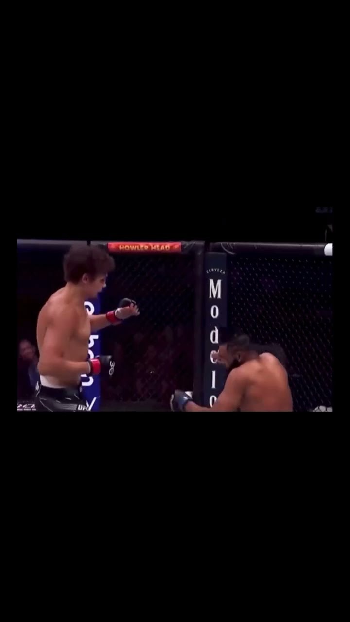 Perfect Setup ? Via - @ufc #ufc #knockout #mma