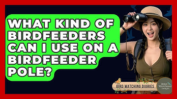 What Kind Of Birdfeeders Can I Use On A Birdfeeder Pole? - Bird Watching Diaries