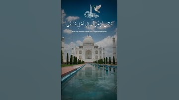 تلاوة خاشعة للشيخ عبد الرحمن مسعد #quran #اكسبلور #تلاوة_خاشعة #قران_كريم #عبدالرحمن_مسعد #muslim