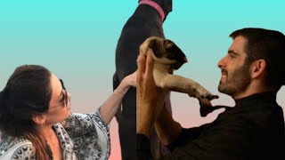 Mehmet akif Alakurt and cansu dere he loves pet = new video