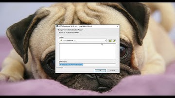 PL/SQL Developer 14  | Kurulum