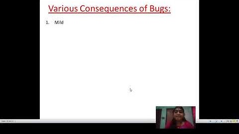 ST UNIT 1  CONSEQUENCES OF BUGS