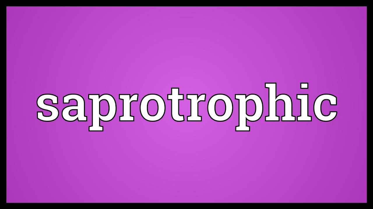 saprotrophs paraziták szimbólumok)