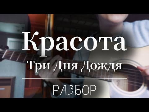 Три Дня Дождя - Красота РАЗБОР ДЛЯ НОВИЧКОВ