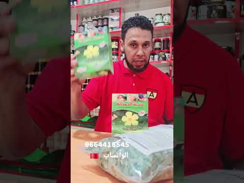 عشبة الدميانة من مستخلصات الفياجرا وعشبة الابيمديوم أقوى الأعشاب لأقوى الرجال