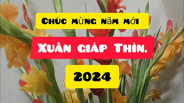 [video 203] CHÚC MỪNG NĂM MỚI XUÂN GIÁP THÌN 2024 | ĐINH NGUYỄN 77.