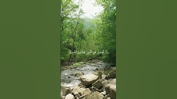ما تيسر من القرآن الكريم #اكسبلور #الظروف #اقتباسات #العظماء #ترند #الرمال #حالات_واتس #حكمة_اليوم
