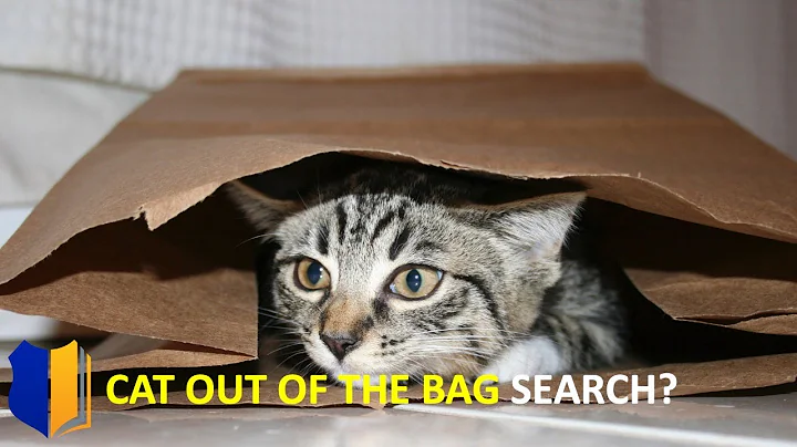 Ep. #32: What Is a “Cat Out of the Bag” Search?