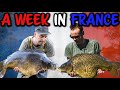 Summer CARP Fishing in France 2020 (Lac Baleine)