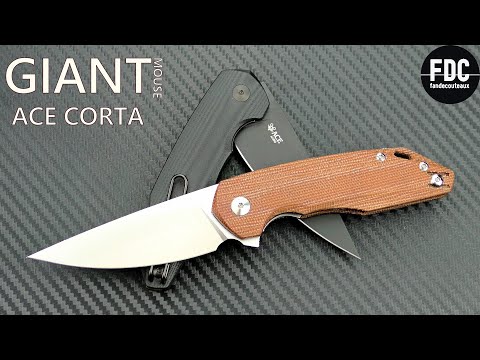 GiantMouse Ace Corta