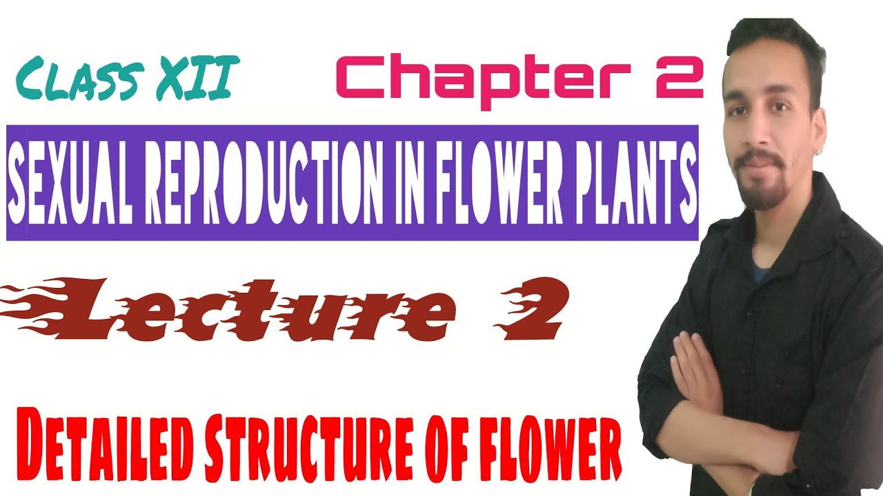 lecture 2 detailed study of flower and it's part YouTube