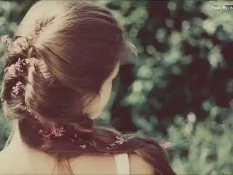 يابو جدايل عكتافا يا كامل الأوصافا حالات واتس اب ربيع الأسمر