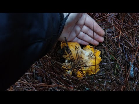 VLOG Tenerife 39