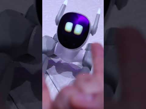 Loona Robot -